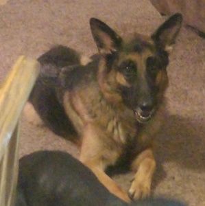 Meet your Posher, Jayme